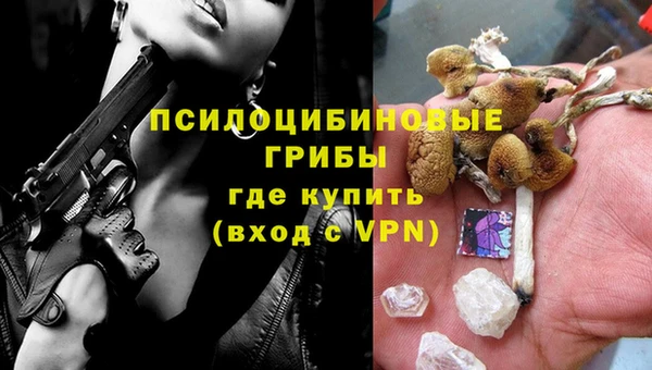 амфетамин Богданович