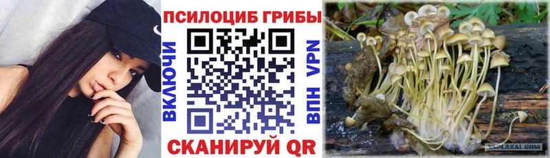 Псилоцибиновые грибы ЛСД  ссылка на мегу онион  Якутск 